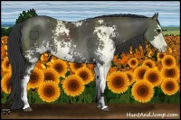 Horse Color:Black Sabino Rabicano 