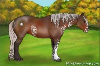 Horse Color:White Spotted Silver Brown 