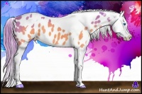Horse Color:Watercolor Brown Splash Tobiano Near Leopard  Brindle