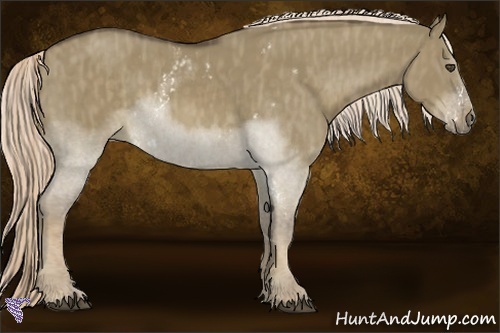 Horse Color:White Spotted Chocolate Palomino Dun Splash Brindle