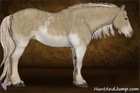 Horse Color:White Spotted Chocolate Palomino Dun Splash  Brindle