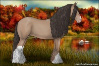 Horse Color:Amber Champagne 