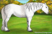 Horse Color:Gray Silver Grullo Tobiano 