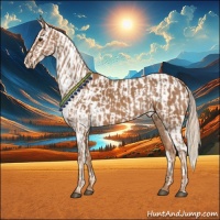 Horse Color:Chestnut and Chestnut Near Leopard
