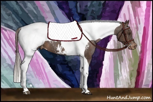 Horse Color:Liver Chestnut Splash Tobiano Near Fewspot Brindle