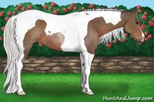 Horse Color:Silver Black Tobiano