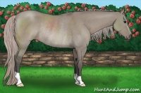 Horse Color:Silver Grullo Rabicano 