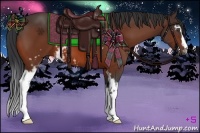 Horse Color:White Spotted Bay 