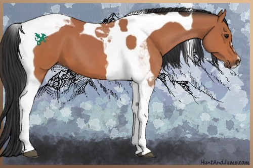 Horse Color:Bay Tobiano 