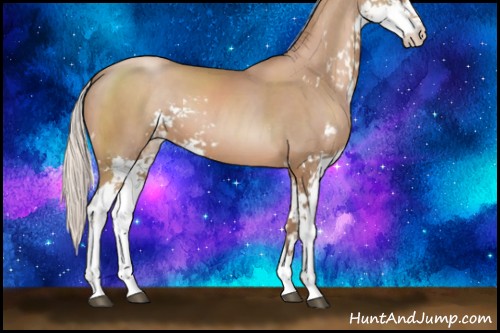 Horse Color:Silver Black Pearl Sabino 