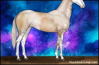 Horse Color:Silver Black Pearl Sabino 