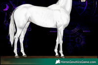 Horse Color:Silver Black Pearl Sabino