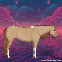 Horse Color:Red Dun Tobiano 