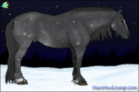 Horse Color:Blue Roan Sabino 