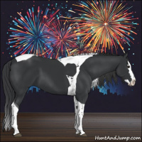 Horse Color:Black Sabino Splash Tobiano 