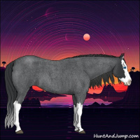 Horse Color:Blue Roan Splash 