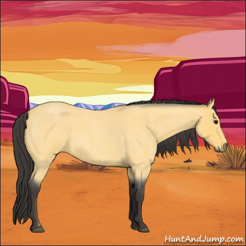 Horse Color:Buckskin Roan 