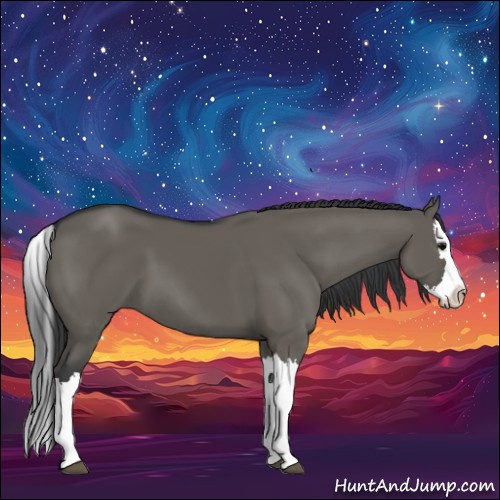 Horse Color:Grullo Splash 