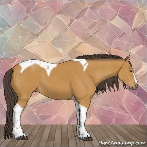 Horse Color:Buckskin Tobiano 