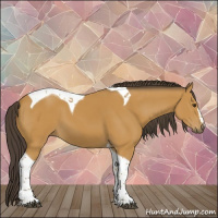 Horse Color:Buckskin Tobiano 