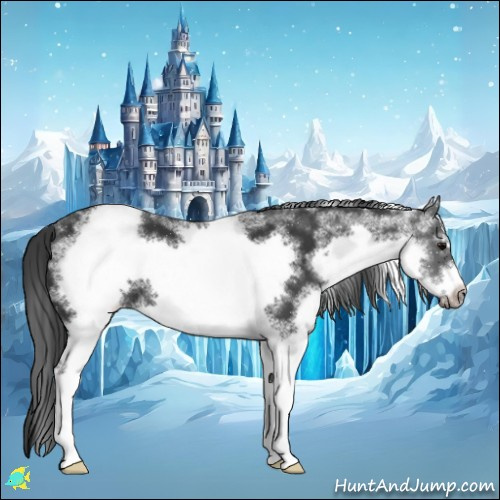 Horse Color:White Spotted Black Frame 