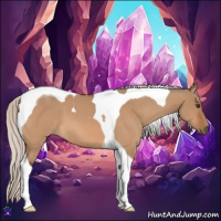 Horse Color:Silver Bay Dun Tobiano 