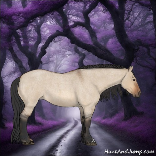 Horse Color:Bay Roan Dun 