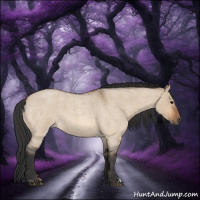 Horse Color:Bay Roan Dun 