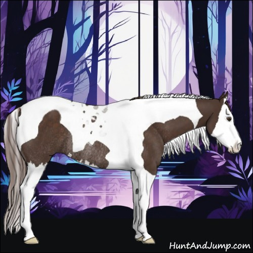 Horse Color:Liver Chestnut Splash Tobiano Rabicano 