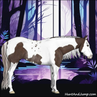 Horse Color:Liver Chestnut Splash Tobiano Rabicano 