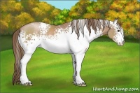 Horse Color:White Spotted Black Pearl 