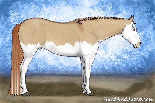 Horse Color:Red Dun Splash  Brindle