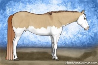 Horse Color:Red Dun Splash Brindle