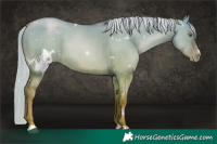 Horse Color:White Spotted Silver Grullo Pearl 