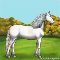 Horse Color:Gray Palomino Dun