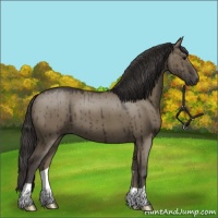 Horse Color:Smoky Grullo Brindle 