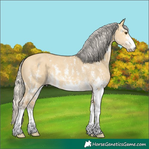 Horse Color:Silver Buckskin Dun Sabino 