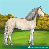 Horse Color:Silver Buckskin Dun Sabino