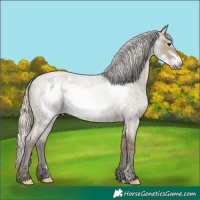 Horse Color:Silver Smoky Grullo Roan Frame 