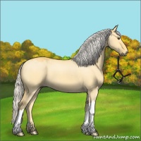 Horse Color:Silver Buckskin Dun