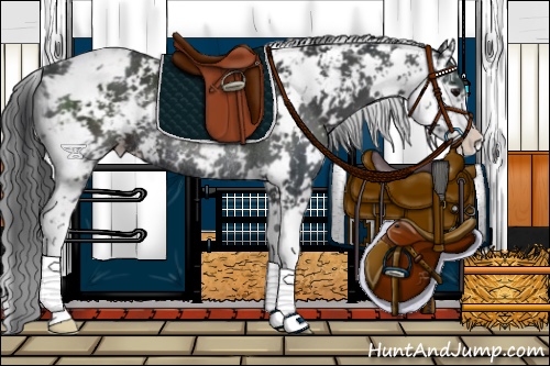 Horse Color:Black Sabino Varnish Rabicano 