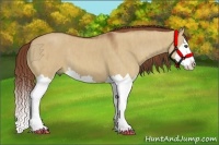 Horse Color:Red Dun Splash  Brindle