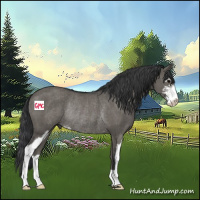 Horse Color:Grullo Sabino Rabicano 