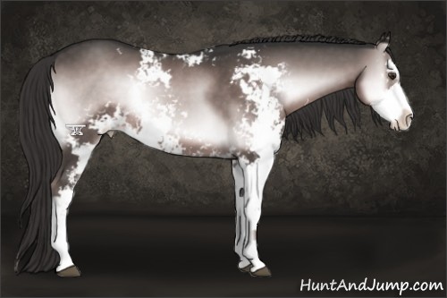 Horse Color:Platinum Liver Red Onyx Sabino 