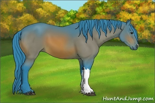 Horse Color:Watercolor Brown 