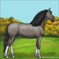 Horse Color:Grullo Brindle 