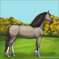 Horse Color:Smoky Grullo 