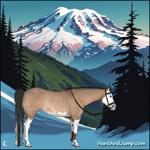 Horse Color:Brown Dun Sabino Splash Rabicano 