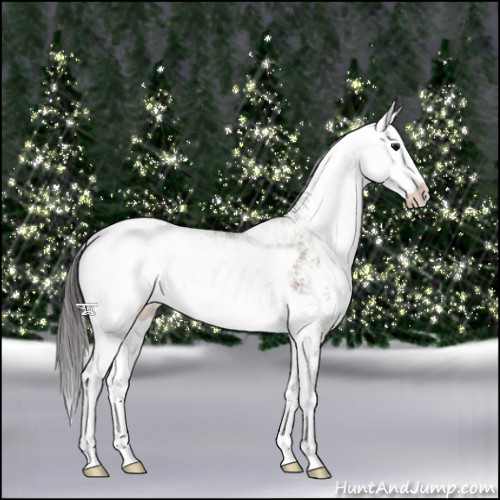 Horse Color:Smoky Grullo Sabino 