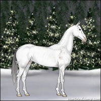 Horse Color:Smoky Grullo Sabino